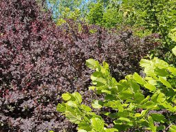 Rita offene Gartentor